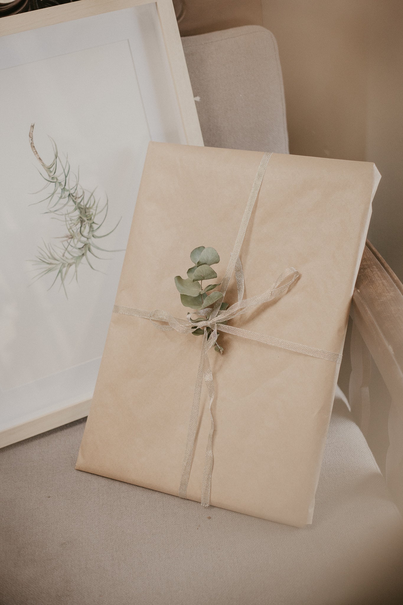 airplant botanical watercolor illustration framed