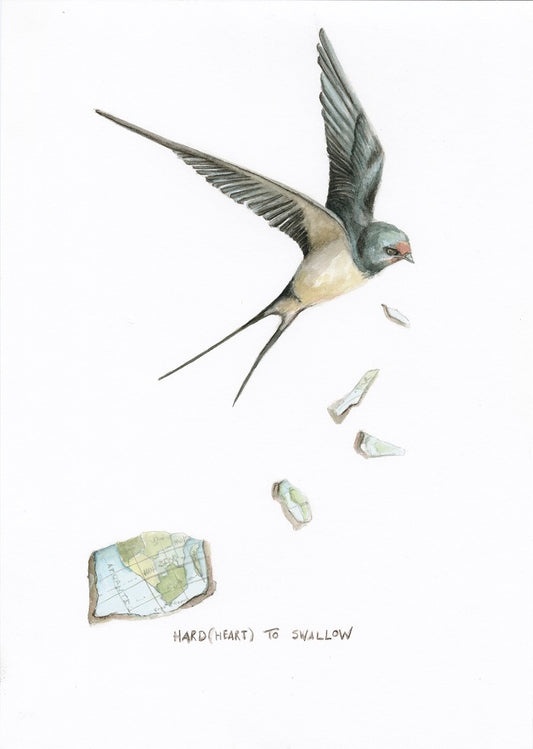 Swallow