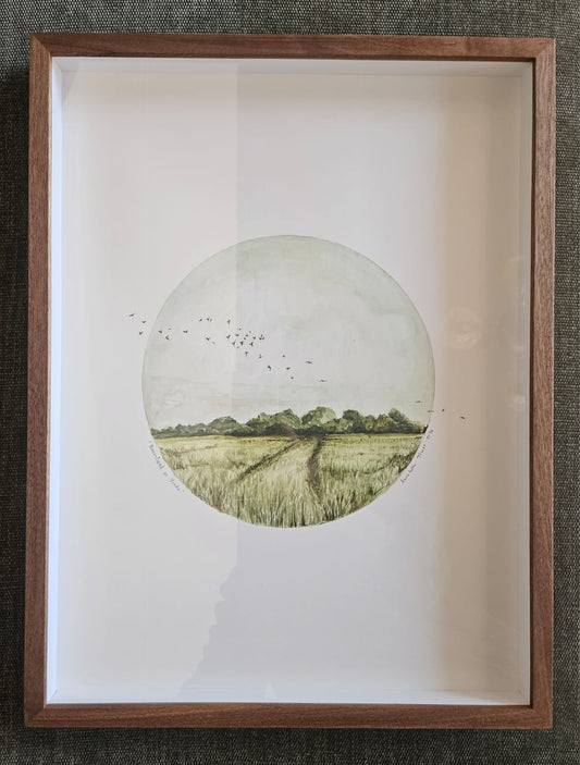 'Boomland se Vrede'