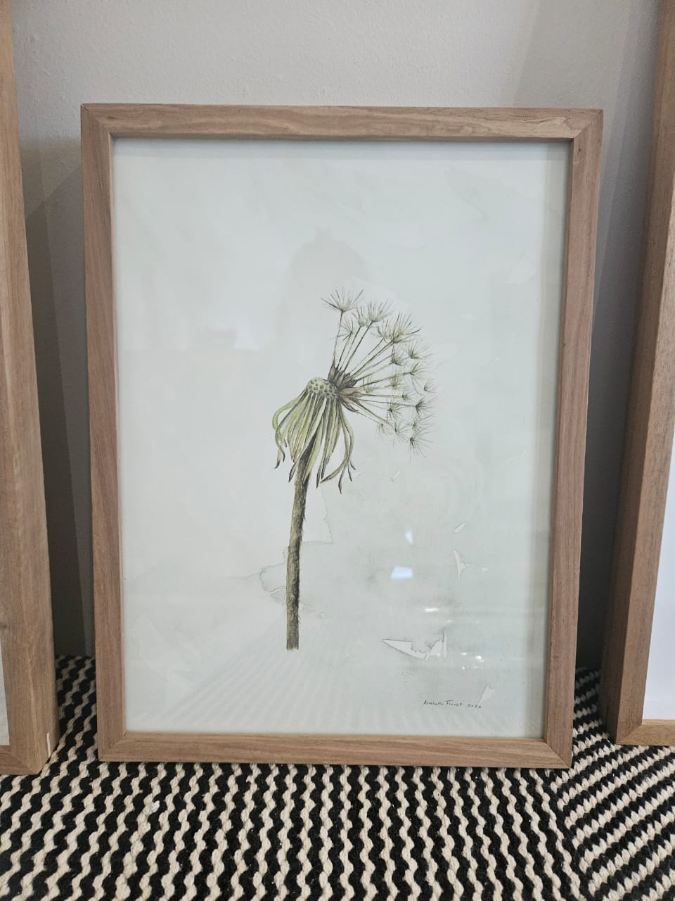 'Dandelion Untitled'