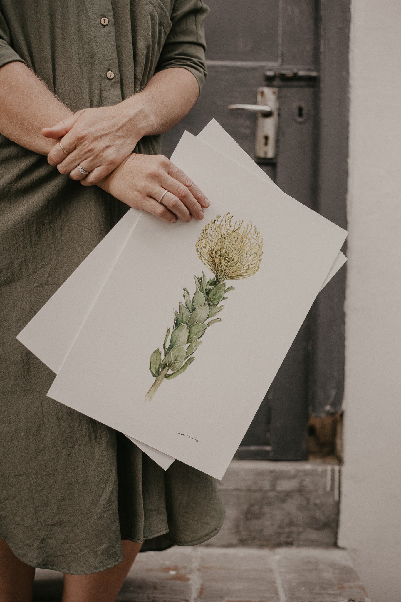 Geel Speldekussing | Yellow Pincushion